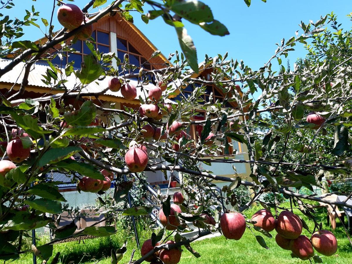Heavenly Daze Cottage Manāli Εξωτερικό φωτογραφία